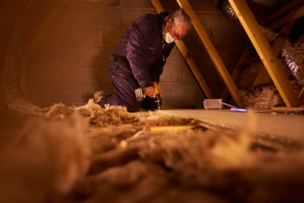 Best Geographic-Specific Insulation Services in White Oak, TX